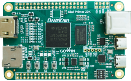 KIWI PRIMER 20K FPGA BOARD